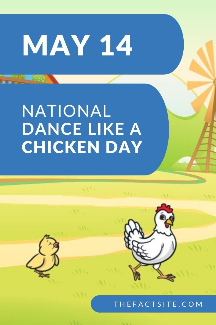 National Dance Like A Chicken Day May 14 The Fact Site