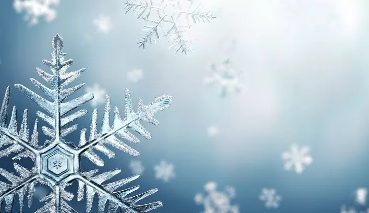 Fun Facts About Snowflakes - And All There Is To Know About