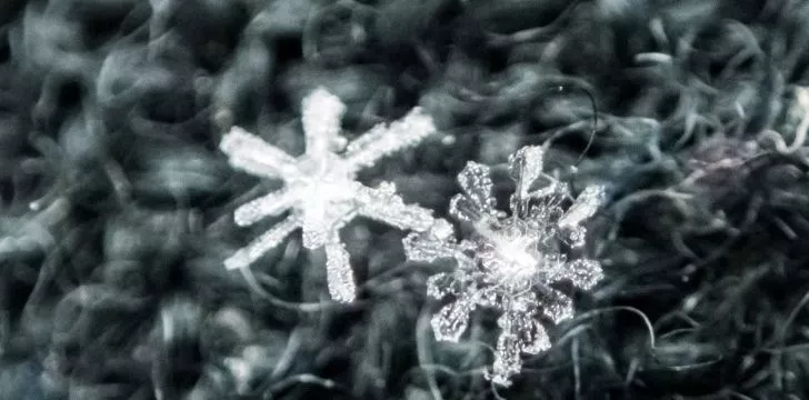 Two gorgeous but still different snowflakes