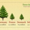 Christmas Tree Facts