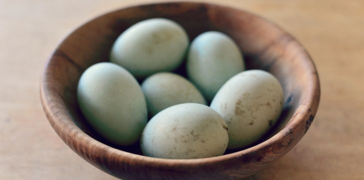 A bowl with six blue eggs.