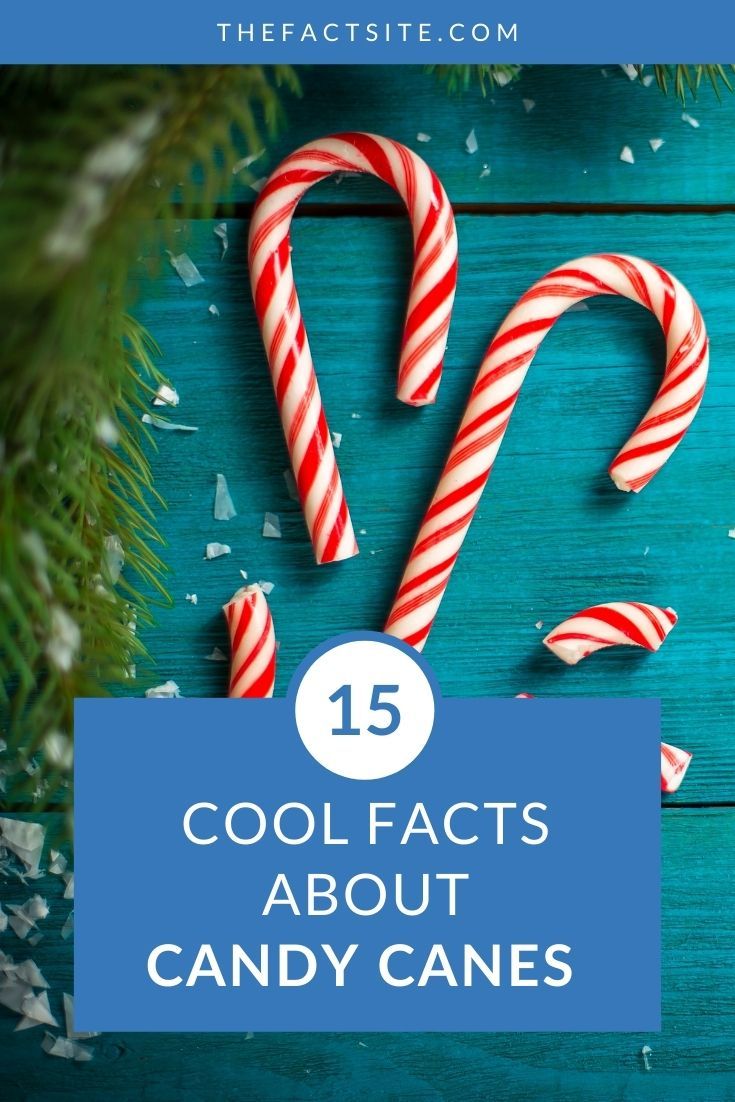 15-cool-facts-about-candy-canes-the-fact-site