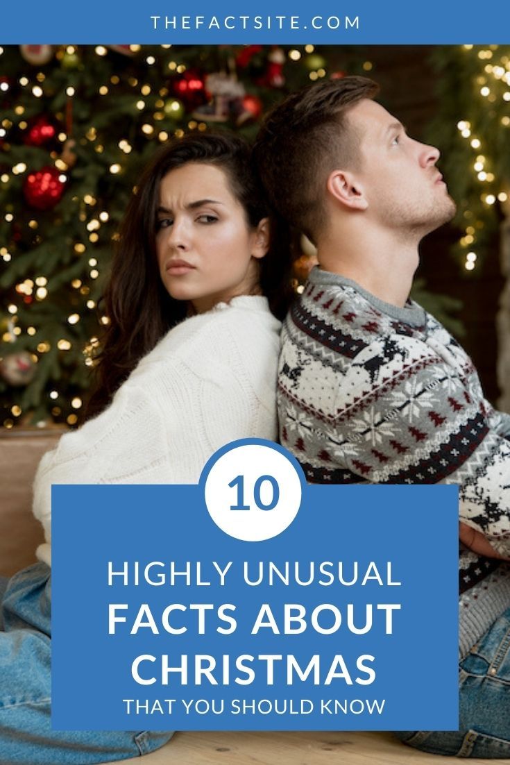 random fun facts about christmas