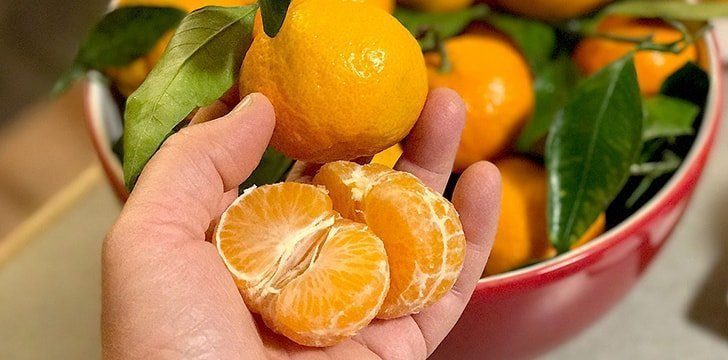 Clementine, Orange, Satsuma & Tangerine Differences | The ...