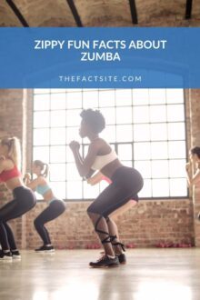 zumba experience essay brainly