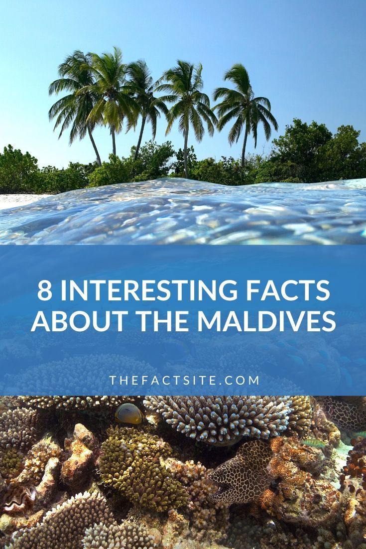 maldives tourism facts