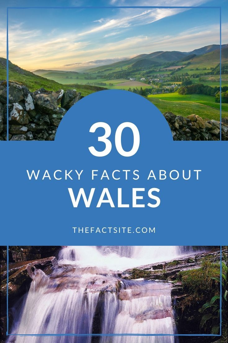 facts about tourism in wales