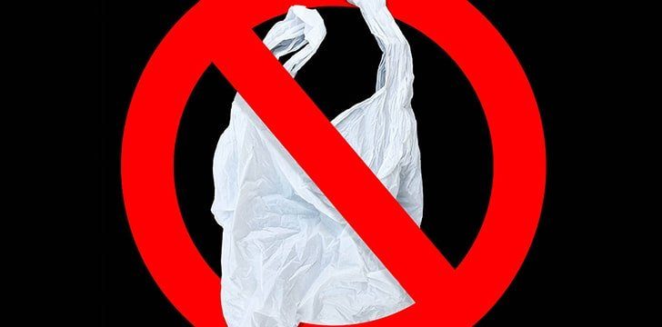 Plastic Bag Free Day