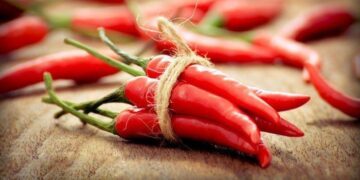 The World's Spiciest Chillis