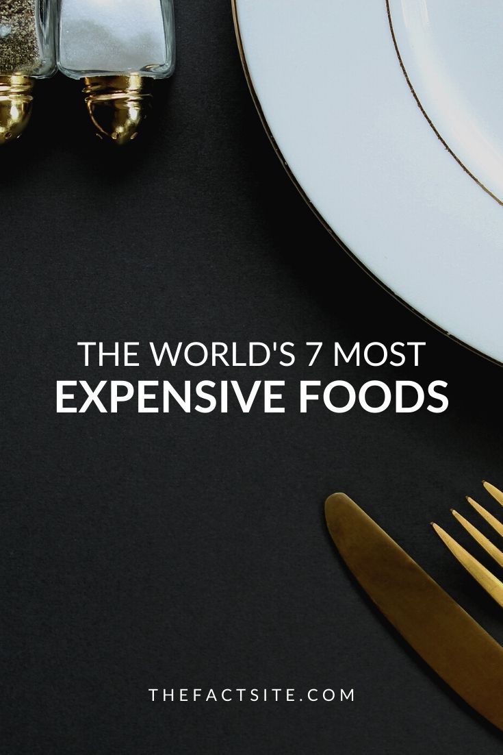 The World's 7 Most Expensive Foods The Fact Site