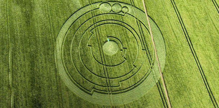 Crop Circle