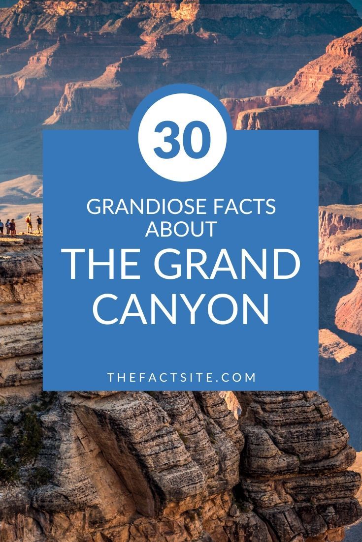 30 Grandiose Facts About The Grand Canyon - The Fact Site