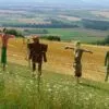 Awesome Facts About Scarecrows