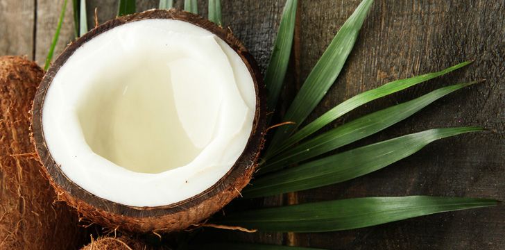 24 Captivating Facts About Coconuts - The Fact Site
