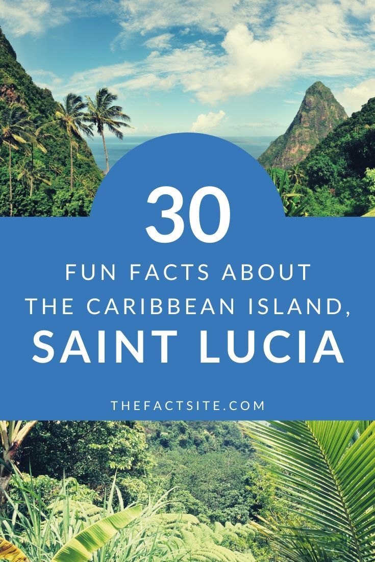 30 Fun Facts About The Caribbean Island, Saint Lucia - The Fact Site