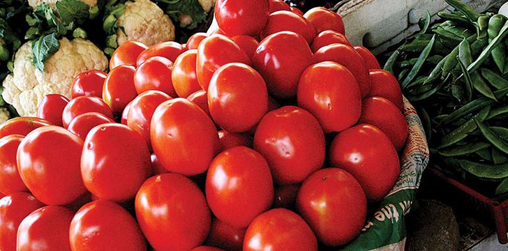 Basket of Tomatos