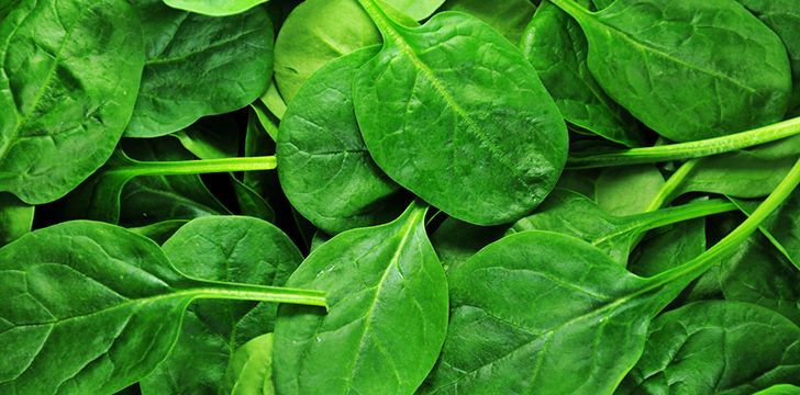 Surprising Spinach Facts