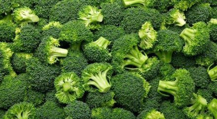 What Are The 10 Healthiest Vegetables? - The Fact Site