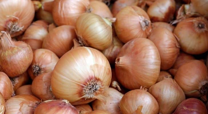 Bundles of brown onions