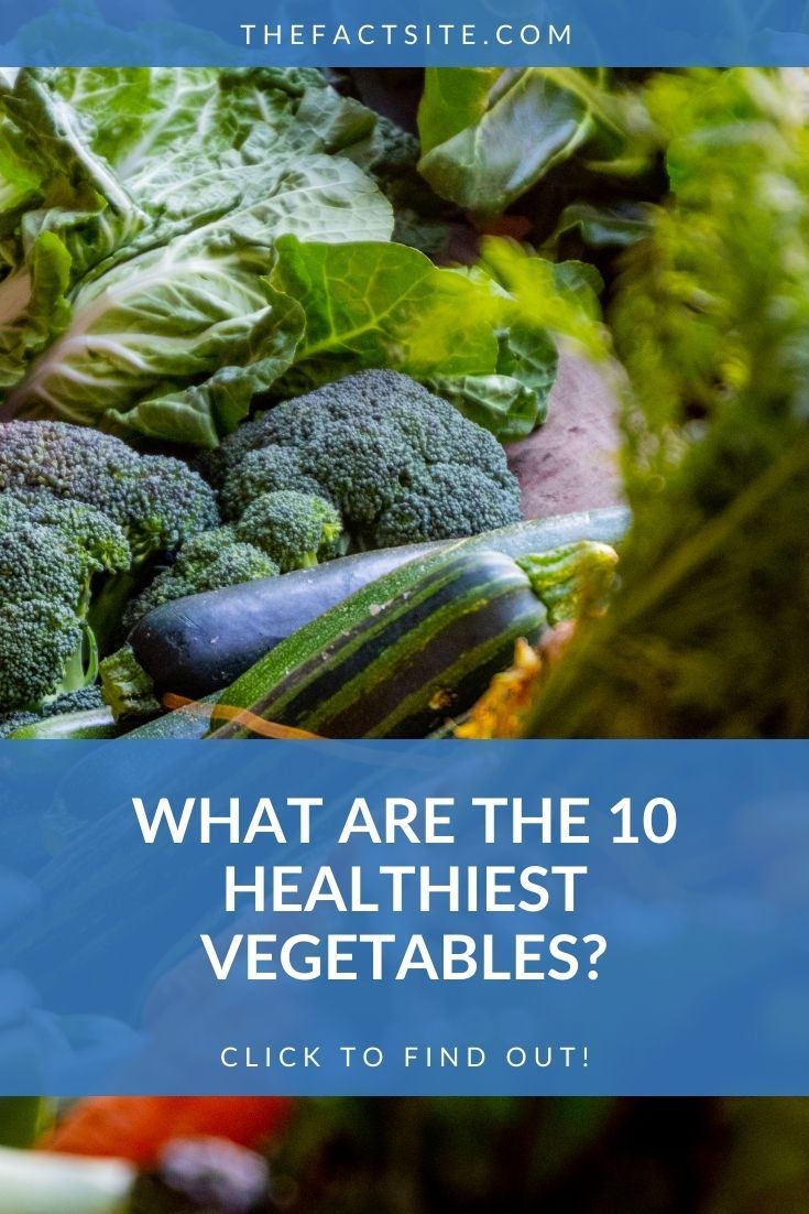 What Are The 10 Healthiest Vegetables? - The Fact Site