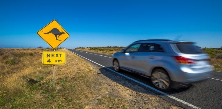 A car driving down a highway with a sign to warn drivers about kangaroos in the area