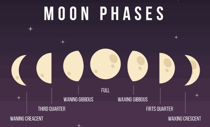 The Moon Cycle