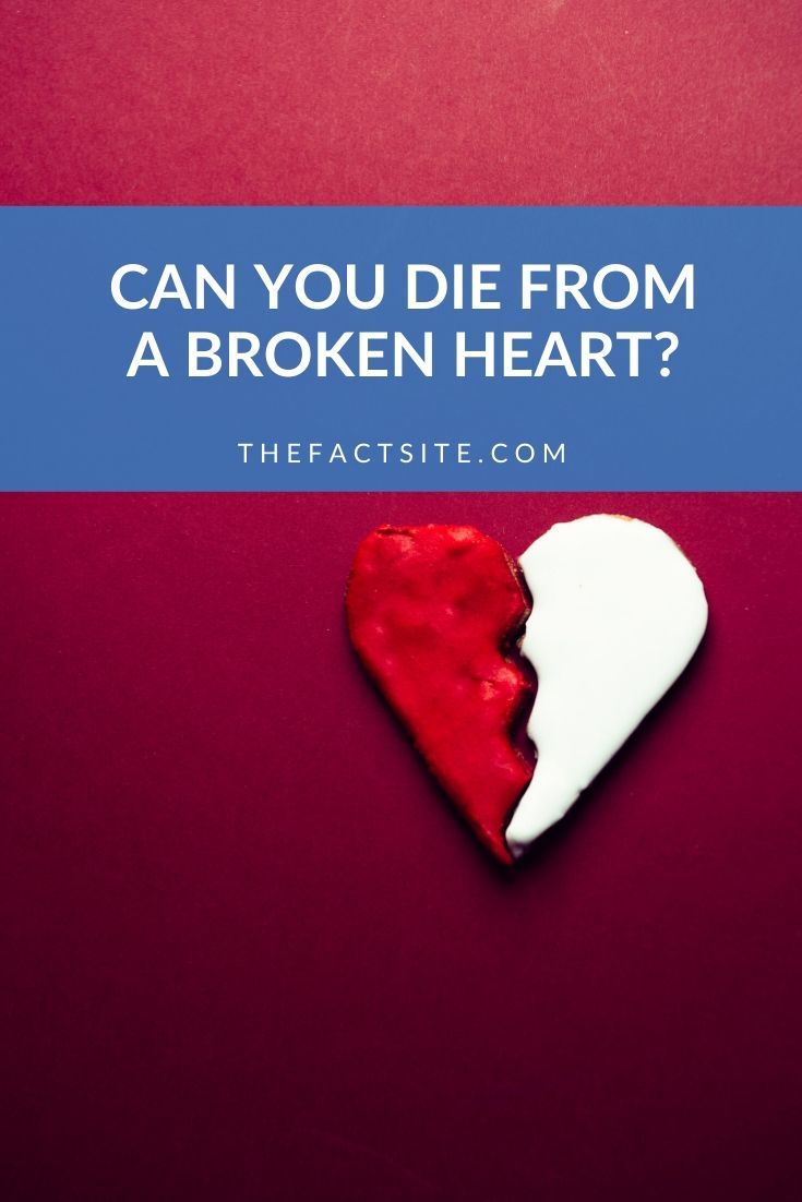 Can You Die From A Heart Stroke - Best Design Idea