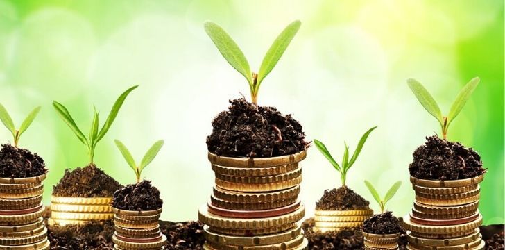 Seedlings growing onto of stacks of coins