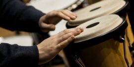 5 Booming Facts About Bongo Drums - The Fact Site