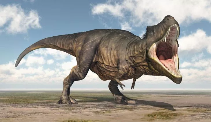 T-Rex Facts! 