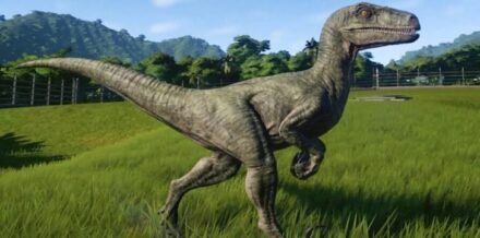 13 Valiant Facts About Velociraptors - The Fact Site