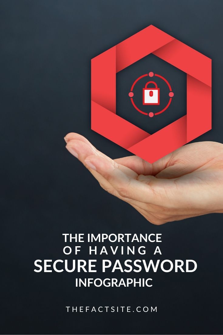 The Importance Of Having A Secure Password InfoGraphic - The Fact Site