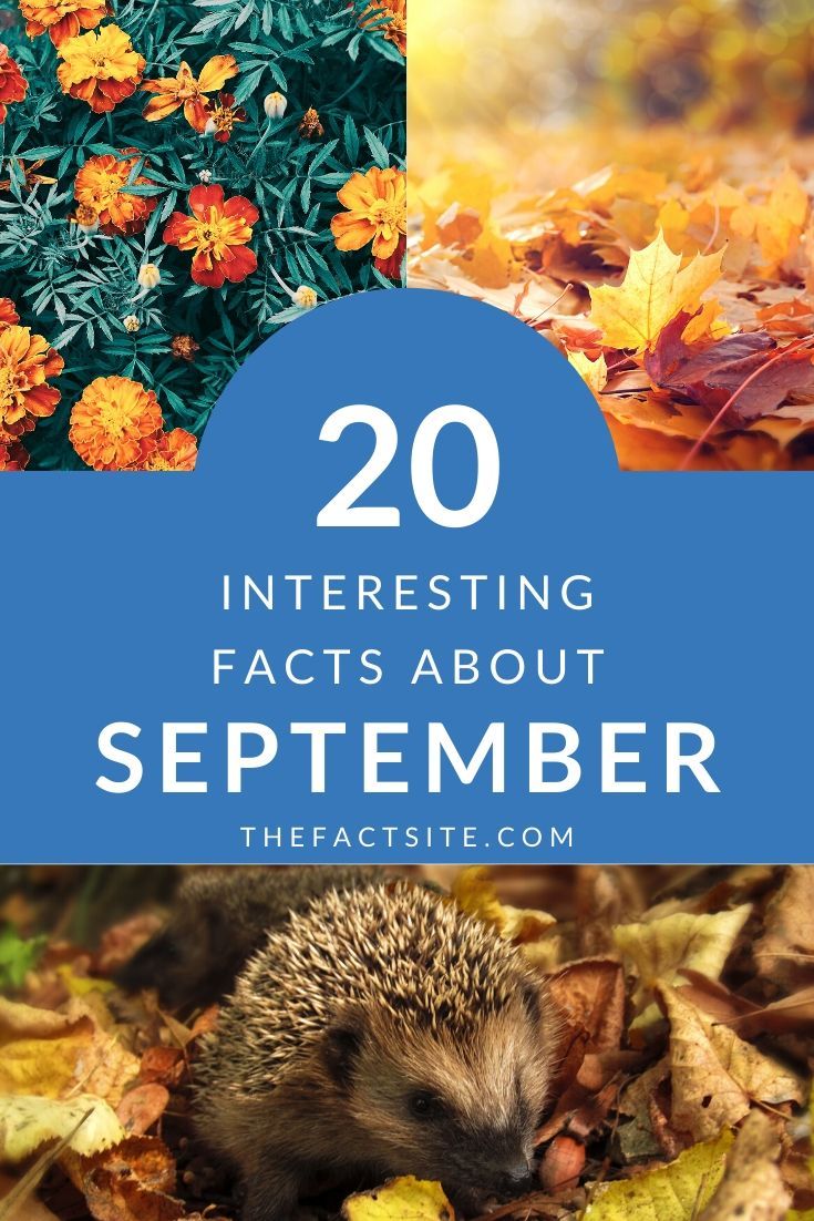 20 Interesting Facts About September The Fact Site