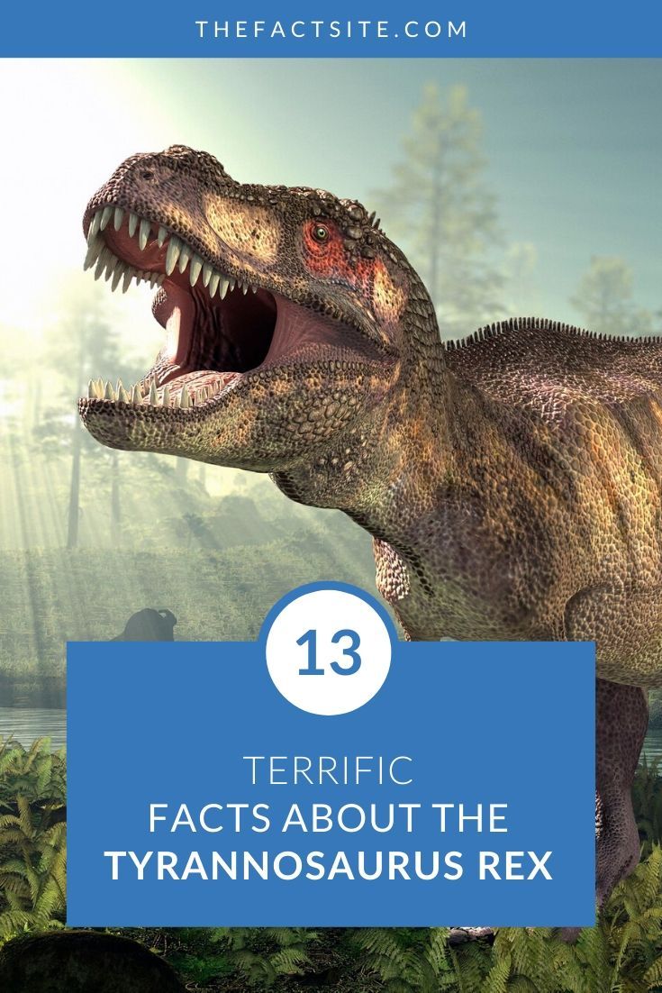 t rex facts