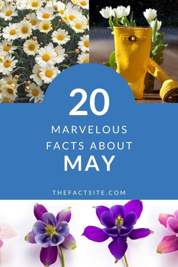20 Marvelous Facts About May The Fact Site