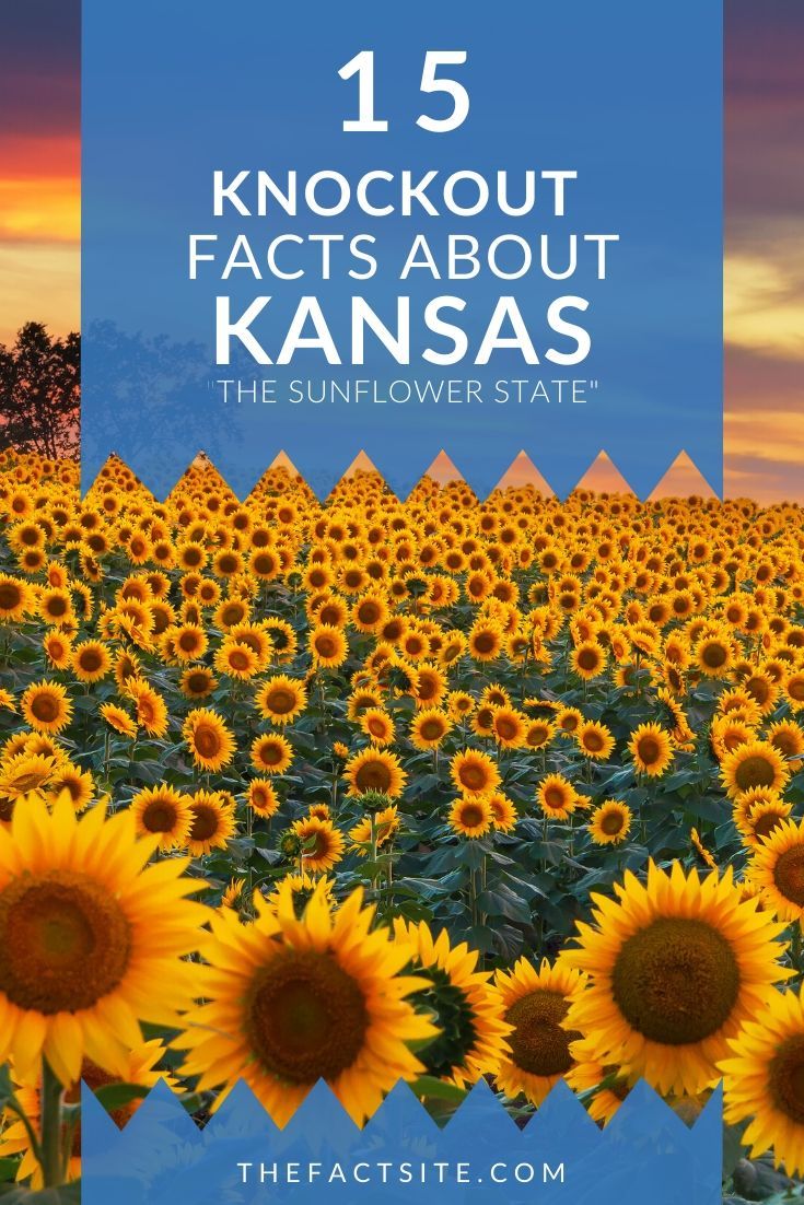 15-knockout-facts-about-kansas-the-fact-site