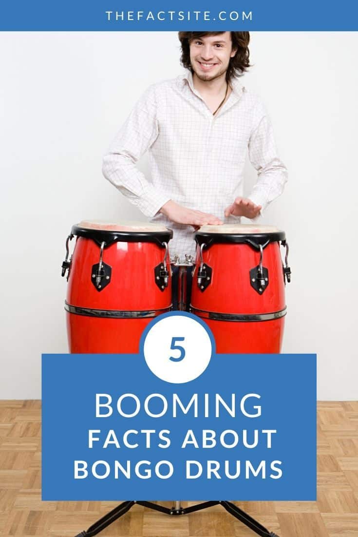 5-booming-facts-about-bongo-drums-the-fact-site