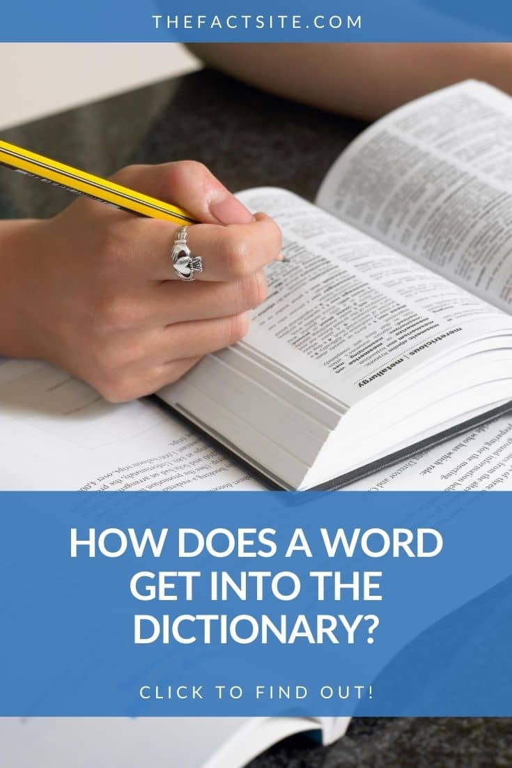 how-does-a-word-get-into-the-dictionary-the-fact-site