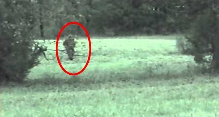 Alleged sighting of the Fauke Monster of Arkansas