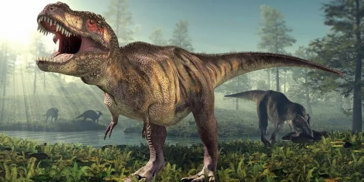 T. rex may have had 2 equally terrifying sibling species, new