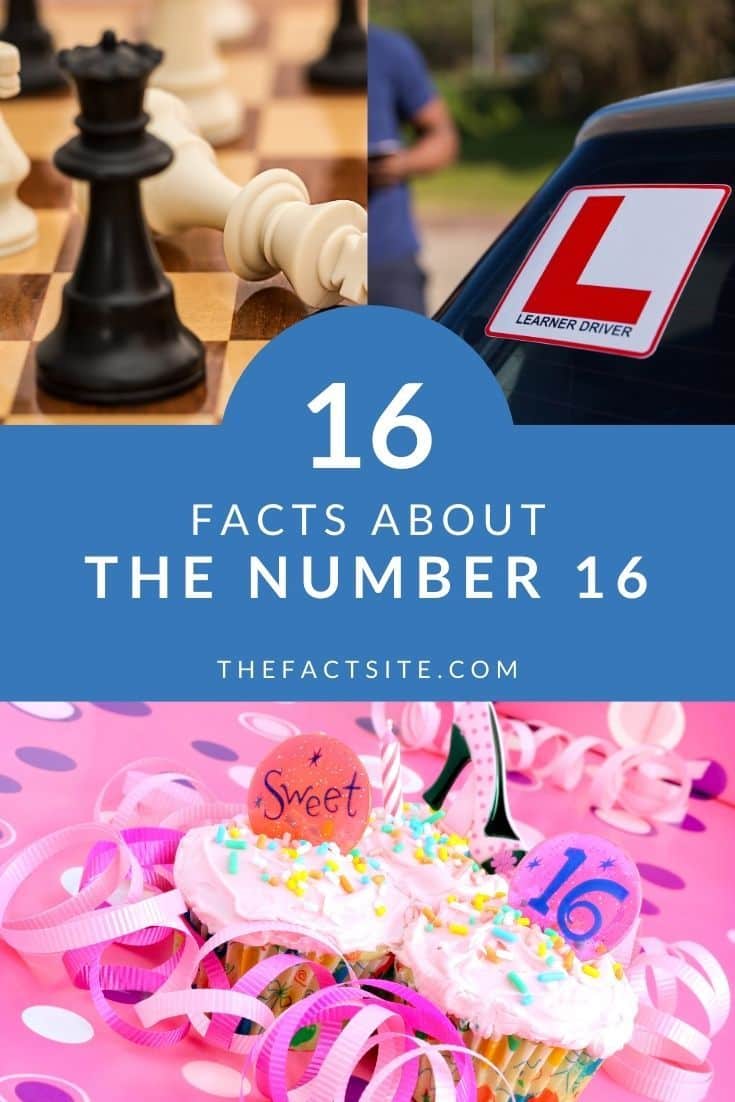 16-facts-about-the-number-16-the-fact-site