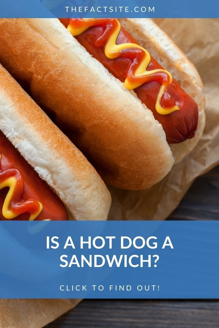 Is A Hot Dog A Sandwich? - The Fact Site