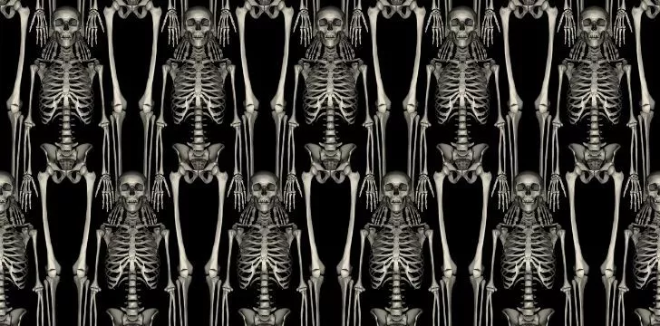 Rows of human skeletons