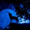 What is a wolf moon?