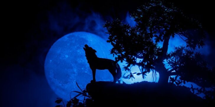 What is a wolf moon?