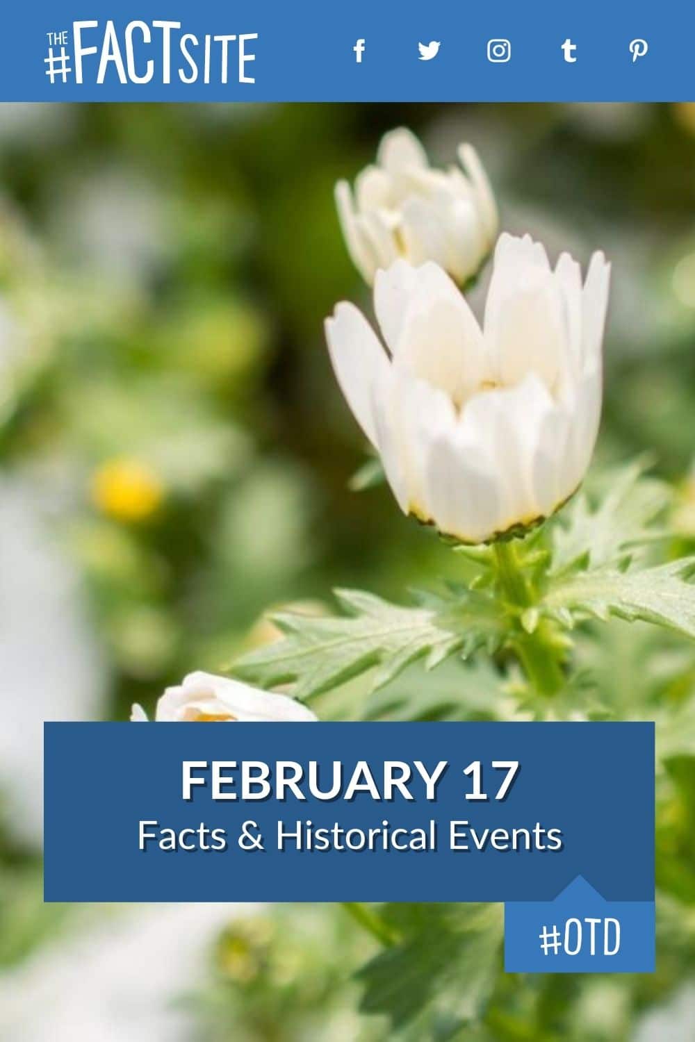 february-17-facts-historical-events-on-this-day-the-fact-site