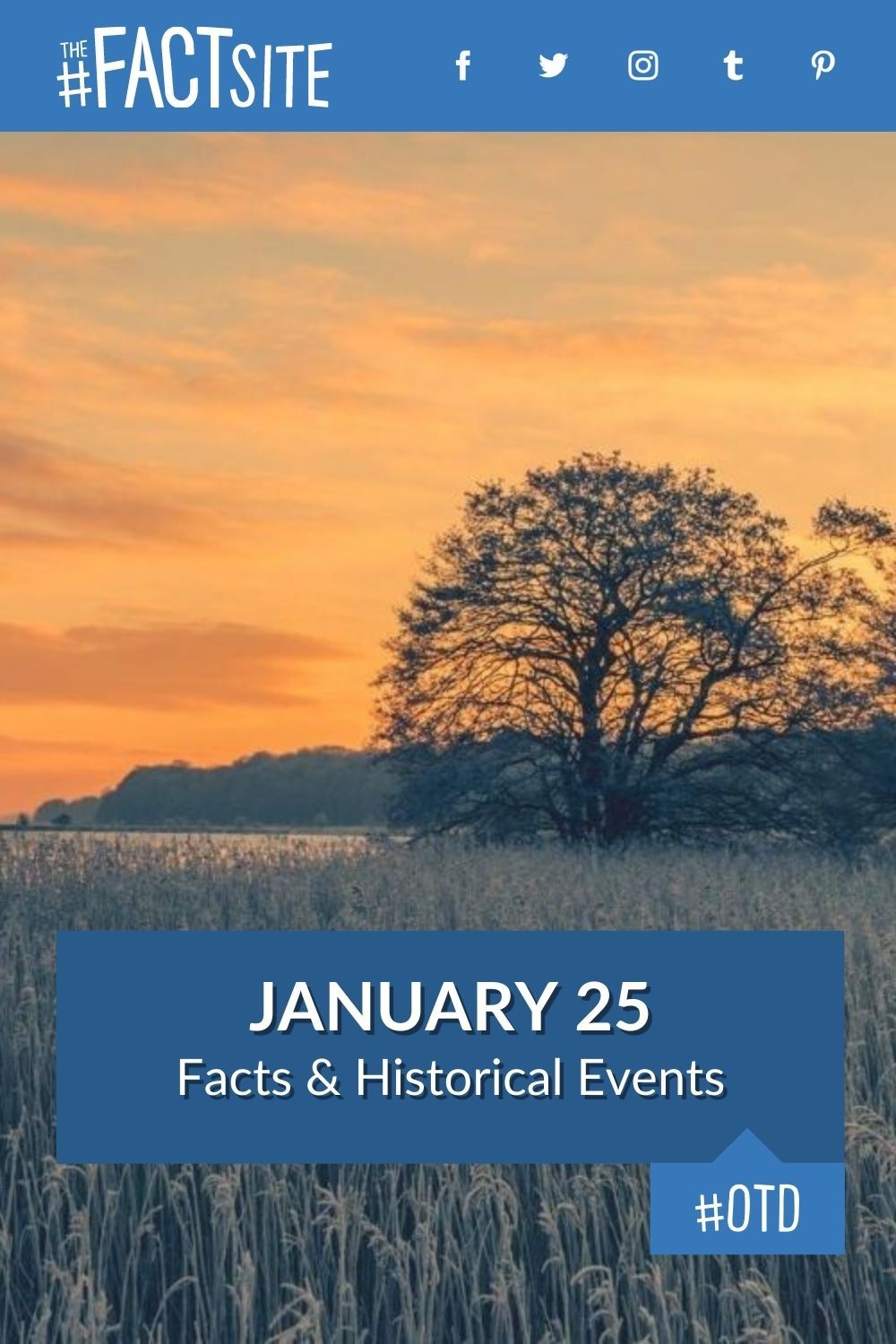 January 25: Facts & Historical Events On This Day - The Fact Site