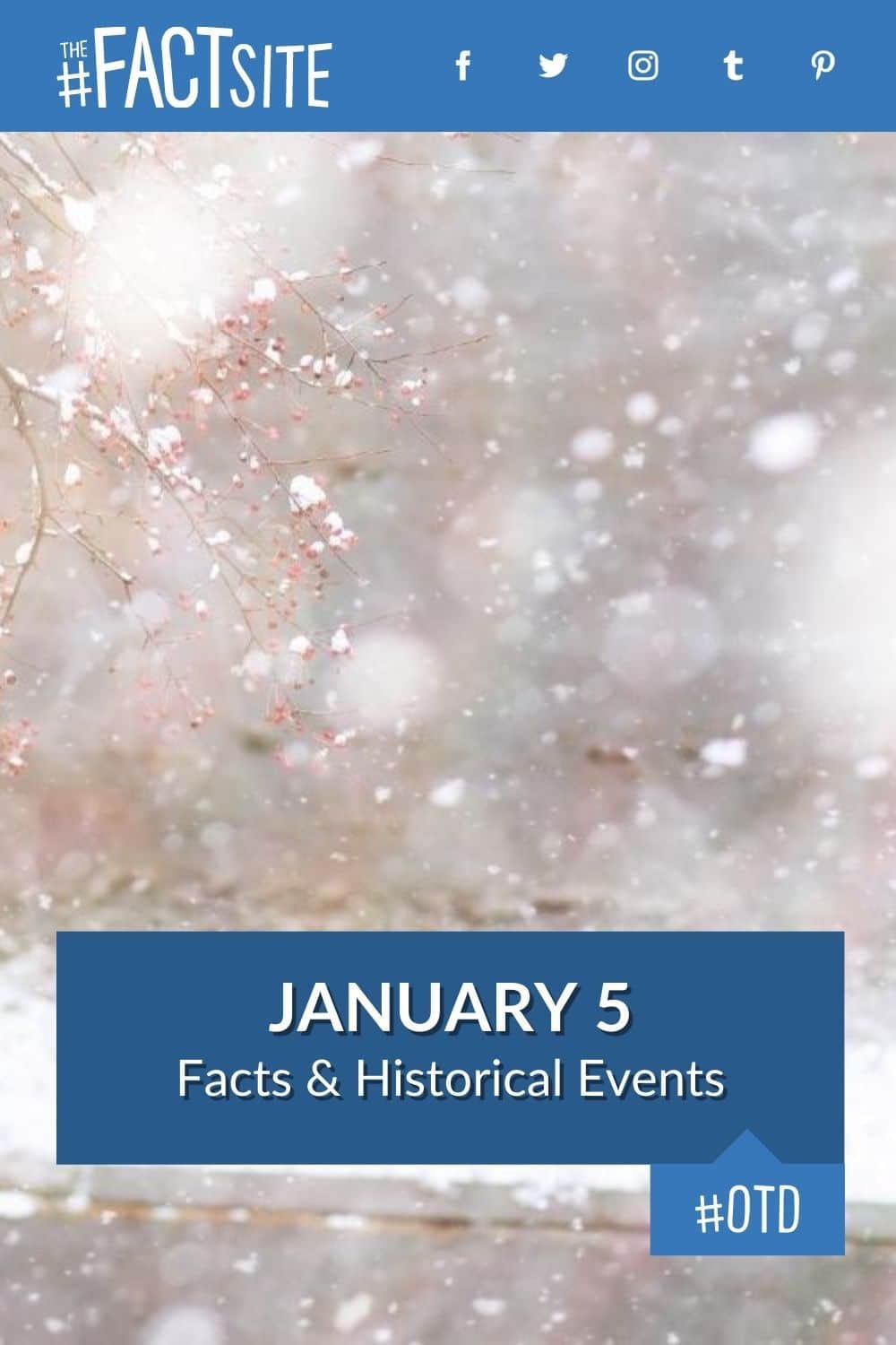 January 5: Facts & Historical Events On This Day - The Fact Site