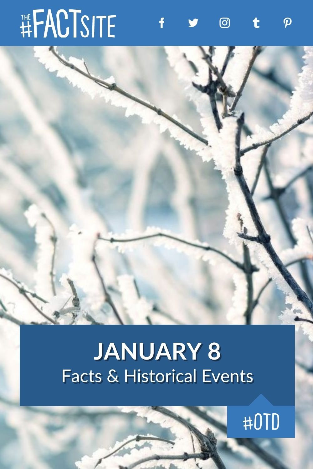 January 8: Facts & Historical Events On This Day - The Fact Site