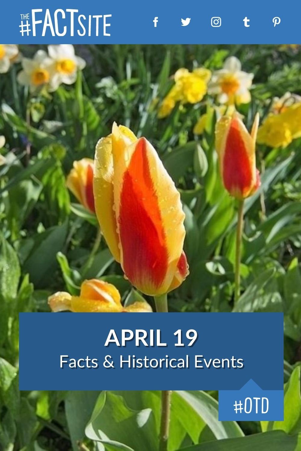 April 19 Facts & Historical Events On This Day The Fact Site
